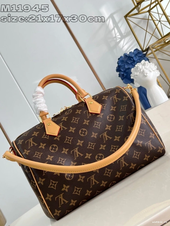 WIS Crafty Speedy Soft Vuitton 30 Louis 0317